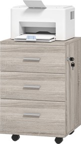Vinsetto Comodă de birou cu 3 sertare Roți Încuietoare 2 Chei Arhivator Mobil pentru Studiu Living 40x40x61,5 cm Gri | Aosom Romania