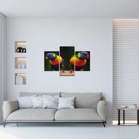 Tablou cu papagali (90x60 cm)