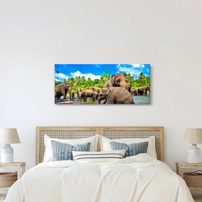 Tablou - Elefanți, Sri Lanka (120x50 cm)