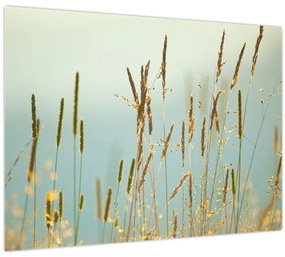 Tablou - Luncă (70x50 cm)