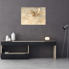 Tablou pe sticlă - Bufnița roșie (70x50 cm)