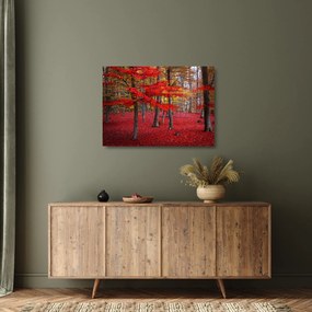 Tablou pe sticlă - Pădurea roșie (70x50 cm)