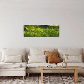 Tablou cu natura - lunca (cu ceas) (90x30 cm)