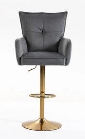 HR250W Scaun Catifea Grafit Bază Aurie