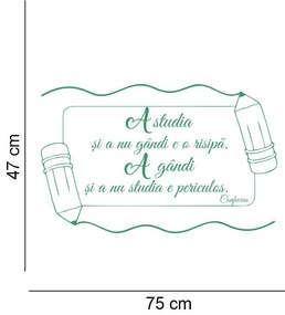 Sticker perete A studia si a gandi