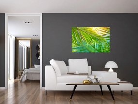 Tablou - Frunze de palmier (90x60 cm)