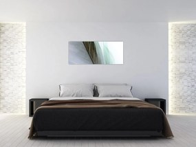 Tablou - Pene, macro (120x50 cm)