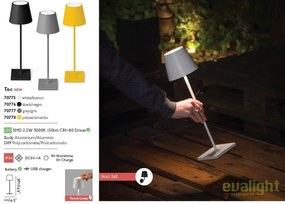 Lampa LED portabila iluminat exterior stil clasic TOC alba 70775