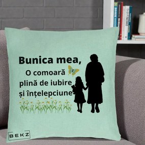 Cadou pentru Bunica - Perna Personalizata Bunica Mea Comoara Iubire Intelepciune Varianta Extinsa, 40x40 cm, Verde Menta, Husa Detasabila, Perna Inclusa, BEKZ®