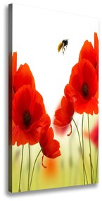 Pictură pe pânză Wildflowers maci