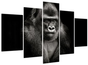 Tablou - Gorila (150x105 cm)