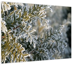 Tablou - Detaliu ramură (70x50 cm)