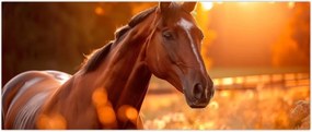 Tablou - Cal în apus de soare (120x50 cm)