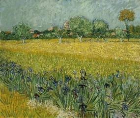 Reproducere Field with Flowers near Arles, 1888, Vincent van Gogh