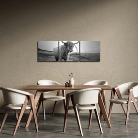 Tablou - Vacă scoțiană,alb-negru (cu ceas) (90x30 cm)