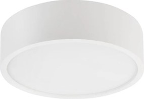 Plafonieră NATURAL 1xE27/15W/230V Ø 27,5 cm pin/alb