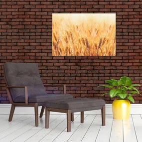 Tablou - câmp cu grâne (90x60 cm)