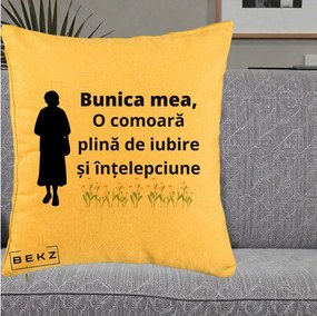 Cadou pentru Bunica - Perna Personalizata Bunica Mea Comoara Iubire Intelepciune Silueta cu Nepoata, 40x40 cm, Galben, Husa Detasabila, Perna Inclusa, BEKZ®