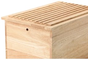 Cutie de pâine 34,5x23 cm ficus de cauciuc Continenta C3141