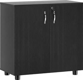 Vinsetto Dulap pentru Documente, cu Încuietoare, 2 Uși și Raft Interior, 80x40x80 cm, Negru | Aosom Romania