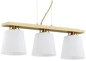 Lustră pe cablu ARDEN 3xE27/15W/230V Argon 6250