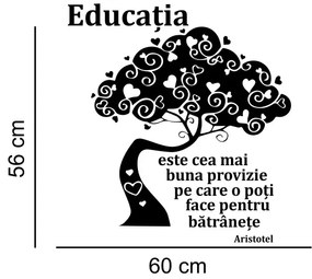 Sticker perete Educatia este cea mai buna provizie