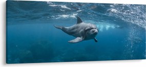 Tablou - Delfin sub apă (120x50 cm)