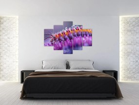 Tablou - Caterpillar (150x105 cm)