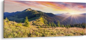 Tablou - Peisaj forestier (120x50 cm)