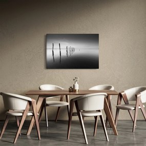 Tablou cu nivelul de lac alb negru (90x60 cm)