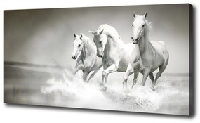 Tablou pe pânză canvas Valuri înspumate