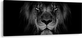 Tablou - Leu majestic (120x50 cm)