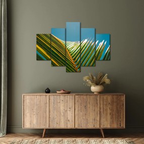 Tablou - Frunze de palmier (150x105 cm)