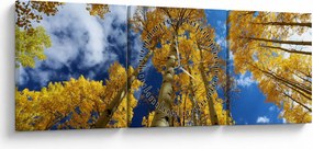 Tablou - Aspen (cu ceas) (90x30 cm)