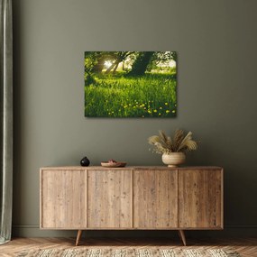 Tablou cu natura - lunca (70x50 cm)