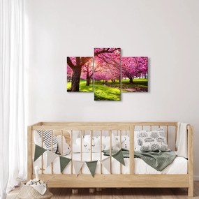Tablou - Cireși înfloriți, Hurd Park, Dover, New Jersey (90x60 cm)