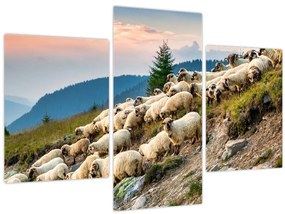 Tablou - O turmă de oi (90x60 cm)