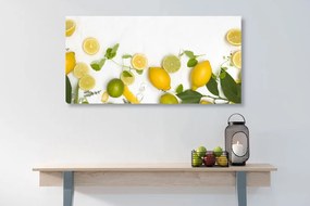 Tablou mix de fructe citrice