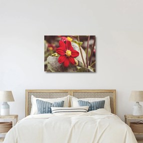 Tablou pe sticlă cu floare (70x50 cm)