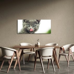 Tablou cu pisicuța lingându-se (120x50 cm)