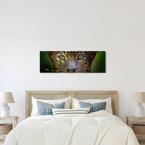Tablou - Portretul leoparduslui, Sri Lanka (cu ceas) (90x30 cm)
