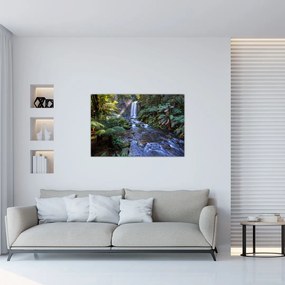 Tablou cu pădurea ploilor din Austalia (90x60 cm)