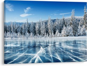 Tablou cu lacul înghețat și copacii înzăpeziți (70x50 cm)