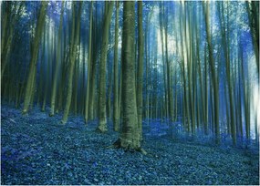 Tablou - Pădure albastră (70x50 cm)