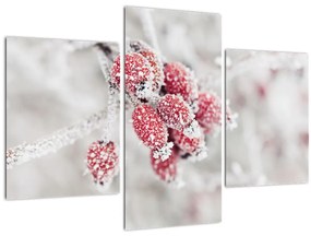 Tablou - Fructe congelate (90x60 cm)