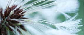 Tablou - Detaliu floare (120x50 cm)