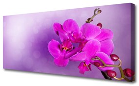 Tablou pe panza canvas Flori roz Floral