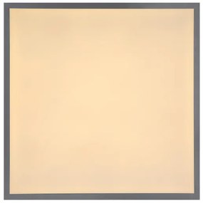 Globo 416080D2 - Plafonieră LED DORO LED/24W/230V