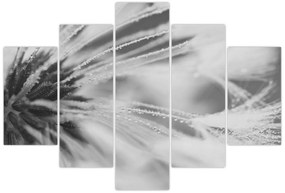 Tablou - Păpădie (150x105 cm)