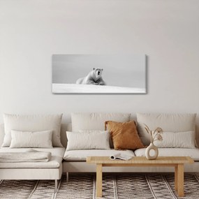 Tablou - Ursul polar (120x50 cm)